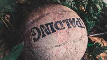 brown spalding ball on green leafed plants