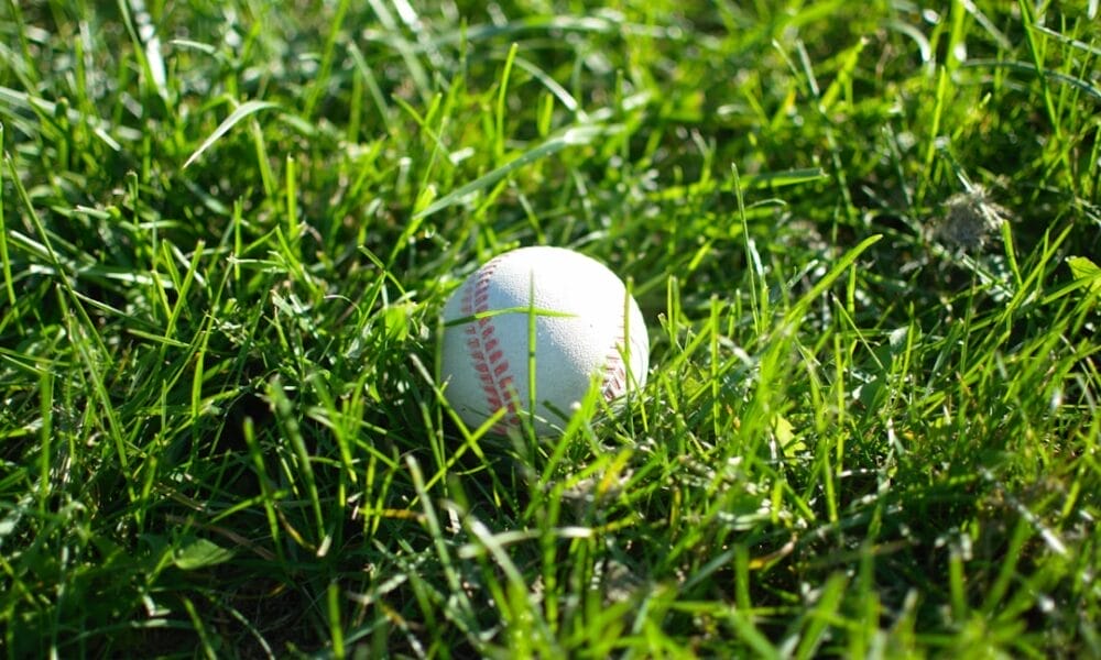 A baseball is lying on the grass, surrounded by blades that vary in length. The ball is white with red stitching, casting a shadow on the green surface. With the precision of a pitch clock in MLB, sunlight highlights the texture of both the grass and the baseball.