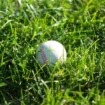 A baseball is lying on the grass, surrounded by blades that vary in length. The ball is white with red stitching, casting a shadow on the green surface. With the precision of a pitch clock in MLB, sunlight highlights the texture of both the grass and the baseball.