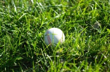 A baseball is lying on the grass, surrounded by blades that vary in length. The ball is white with red stitching, casting a shadow on the green surface. With the precision of a pitch clock in MLB, sunlight highlights the texture of both the grass and the baseball.