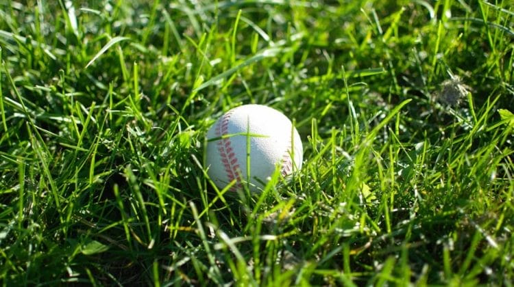 A baseball is lying on the grass, surrounded by blades that vary in length. The ball is white with red stitching, casting a shadow on the green surface. With the precision of a pitch clock in MLB, sunlight highlights the texture of both the grass and the baseball.
