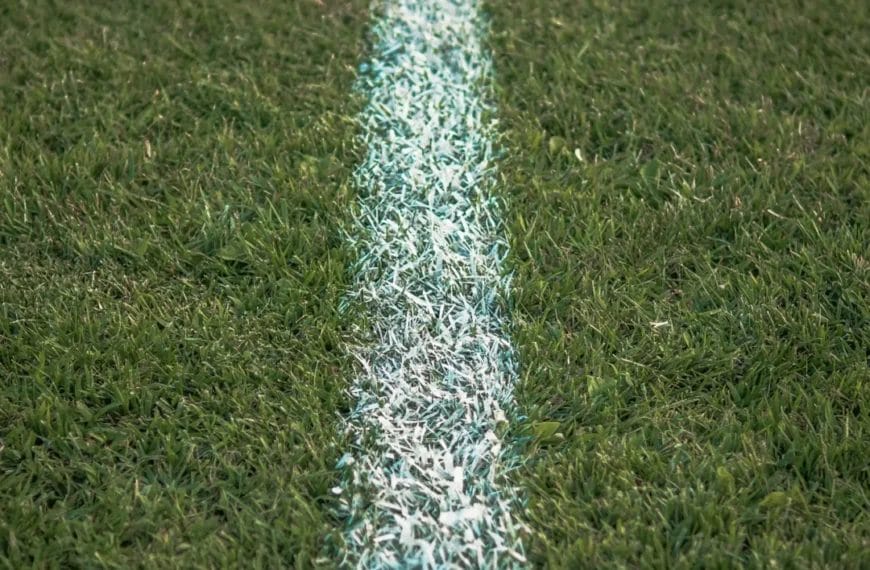 A close-up view of a freshly painted white line on green grass, possibly part of a Canadian football or American football field. The line runs vertically through the center, with lush, neatly trimmed grass on both sides.